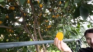Рыбалка с мухтаром в Селимие