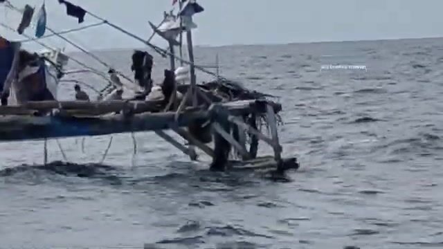 Вываживание голубого марлина в море Сулу