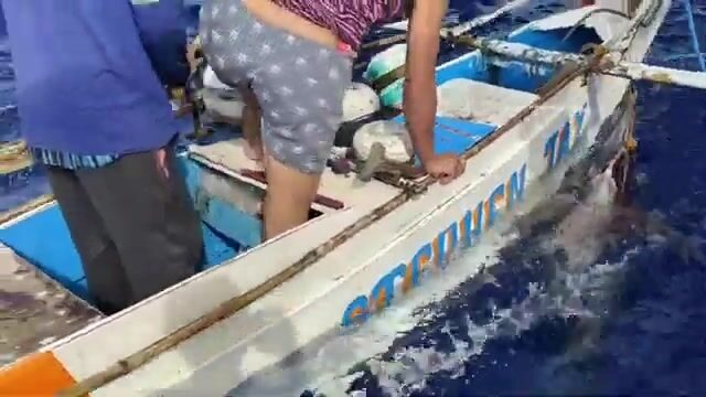 Вываживание голубого марлина в море Сулу