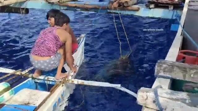 Вываживание голубого марлина в море Сулу
