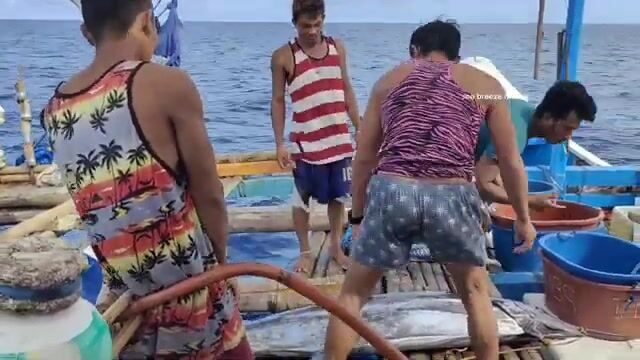 Вываживание голубого марлина в море Сулу