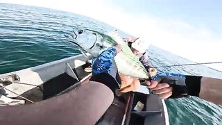 Пеламида на пилькер в Черном море у Кобулети