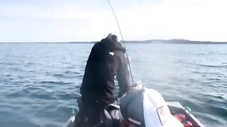 Пеламида на пилькер в Черном море у Кобулети