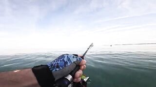 Пеламида на пилькер в Черном море у Кобулети