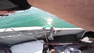 Пеламида на пилькер в Черном море у Кобулети