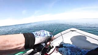 Пеламида на пилькер в Черном море у Кобулети