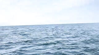 Пеламида на пилькер в Черном море у Кобулети