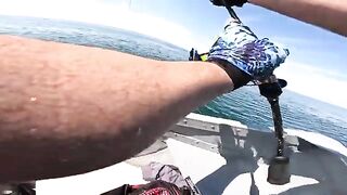 Пеламида на пилькер в Черном море у Кобулети