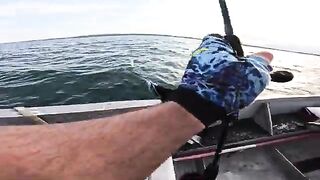 Пеламида на пилькер в Черном море у Кобулети