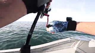 Пеламида на пилькер в Черном море у Кобулети