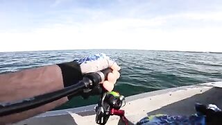 Пеламида на пилькер в Черном море у Кобулети