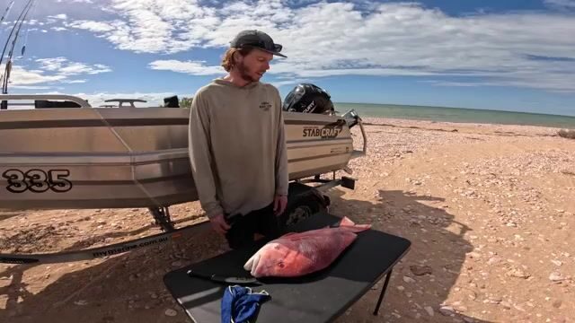 Эксмут: черный марлин и первый красный император