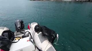 Подводная охота в Ризе