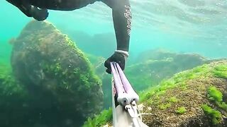 Подводная охота в Ризе