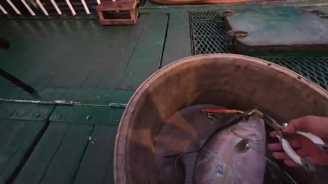 Утренний джиггинг в море Сулу с амберджеком