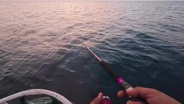 Утренний джиггинг в море Сулу с амберджеком