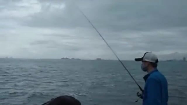 Ловля кальмара на полуострове Шонча