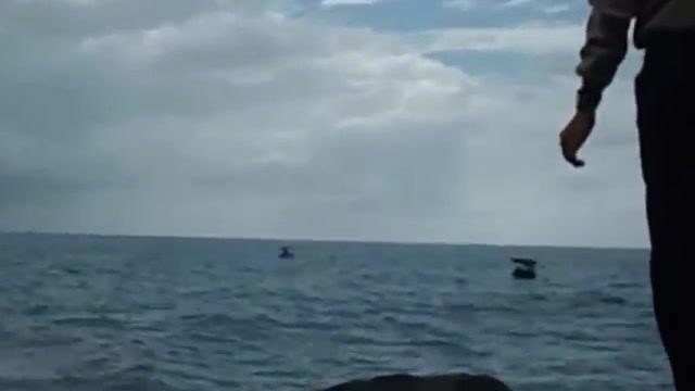 Ловля кальмара на полуострове Шонча