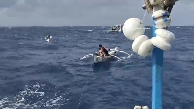 Черный марлин в море Сулу во время амихана