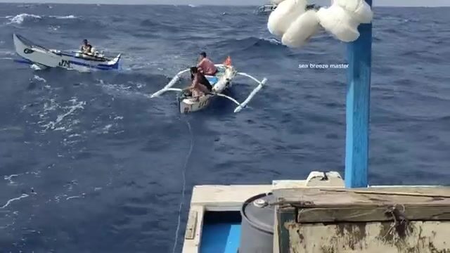 Черный марлин в море Сулу во время амихана