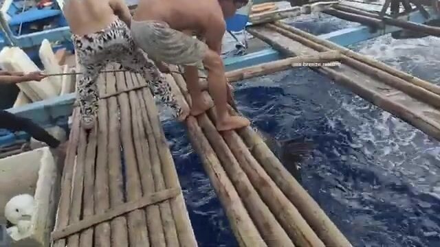 Черный марлин в море Сулу во время амихана