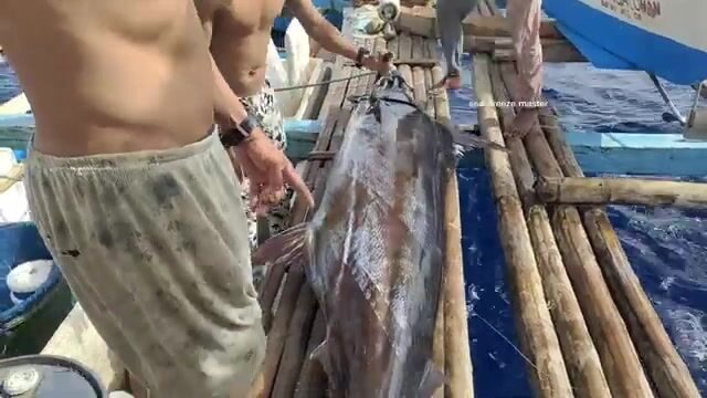 Черный марлин в море Сулу во время амихана