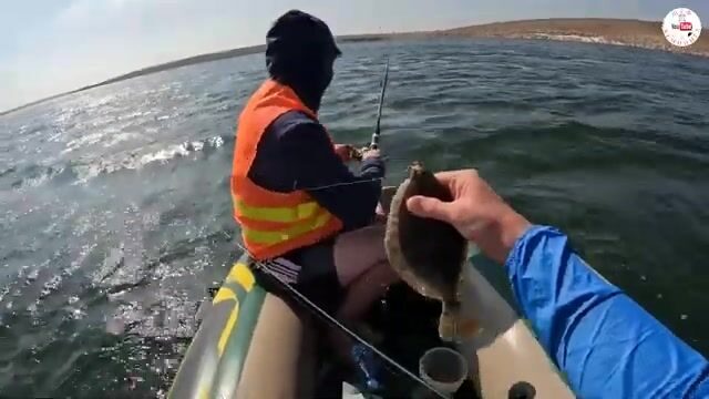 Морская рыбалка на Донузлаве: бешеный клев с лодки