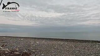 Ставрида на легкие снасти в Кобулети