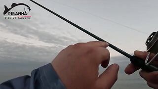 Ставрида на легкие снасти в Кобулети