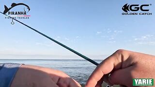 Ставрида на легкие снасти в Кобулети