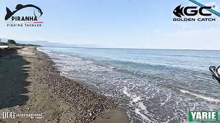 Ставрида на легкие снасти в Кобулети
