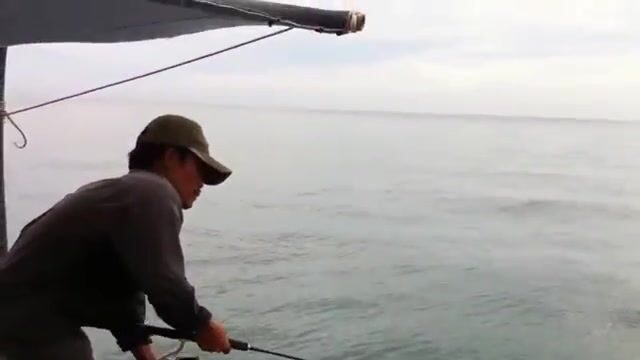 Ловля рыбы у полуострова Шонча в Дананге