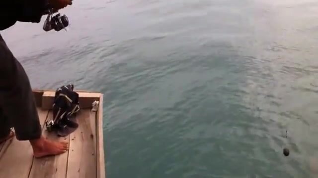 Ловля рыбы у полуострова Шонча в Дананге