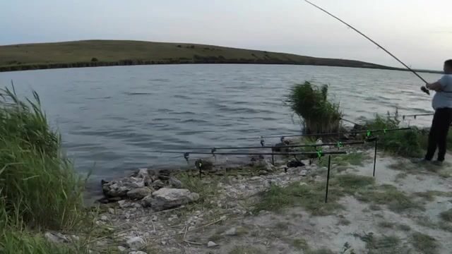 Пресноводная рыбалка на Донузлаве: карп с берега на 20-м секторе