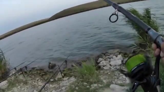 Пресноводная рыбалка на Донузлаве: карп с берега на 20-м секторе