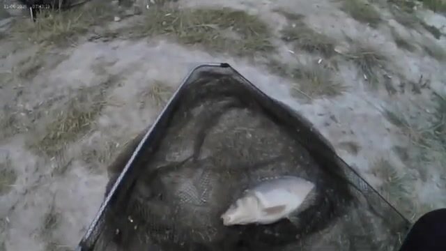 Пресноводная рыбалка на Донузлаве: карп с берега на 20-м секторе
