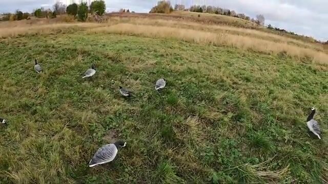 Треска на джиг с лодки в Белом море