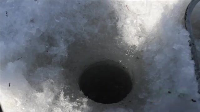 Ловля окуня и сороги на Малом море Байкала