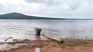 Ночная ловля леща на Братском море