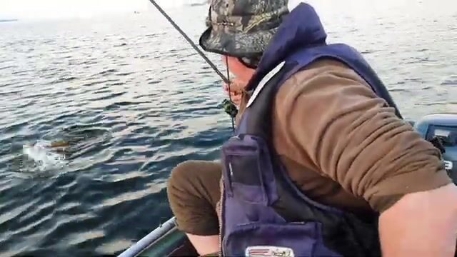 Щука у залива Мухор на Байкале