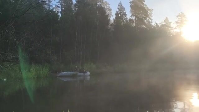 Ночная рыбалка на Братском водохранилище с сазаном
