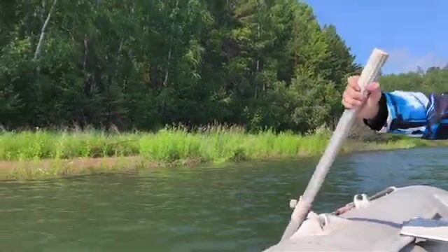 Ночная рыбалка на Братском водохранилище с сазаном