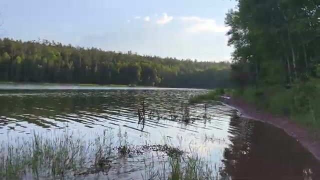 Ночная рыбалка на Братском водохранилище с сазаном