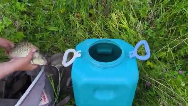 Ночная рыбалка на Братском водохранилище с сазаном