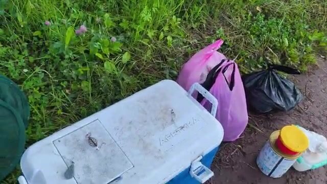Ночная рыбалка на Братском водохранилище с сазаном