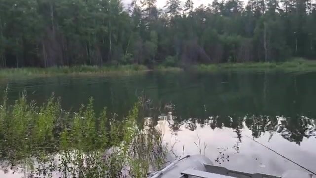 Ночная рыбалка на Братском водохранилище с сазаном