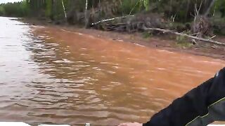Ночная раздача леща и сомы на кружки у Елани на Братском море