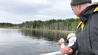 Ночная раздача леща и сомы на кружки у Елани на Братском море