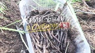 Разведка нового залива на Братском море с ночёвкой