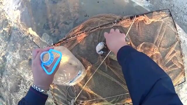 Утренняя рыбалка в Седово на Азовском берегу